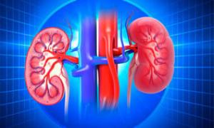 Kidney Cancer: What You Need to Know