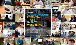 Pfizer Publishes 2012 Annual Review